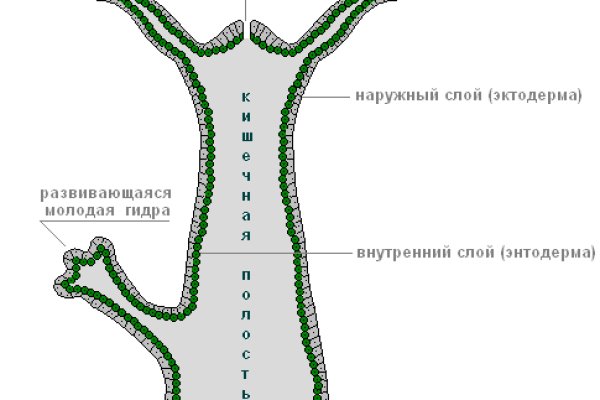 Кракен маркетплейс зайти
